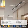 Luminária de Teto Longa Minimalista de Sobrepor para Sala de Estar, Corredor Criativo, Corredor, Varanda Ensolarada e Varanda - Modelo Novo 2026