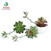 Simulación planta suculenta simulación cabeza de flor planta pared de flores accesorios flor suculenta falsa flor de plástico decoración planta planta en maceta