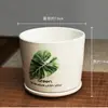 Maceta de Cerámica Tamaño Grande Oferta Especial Liquidación Interior Escritorio Balcón Suculenta Maceta Pequeña Clorofito Helecho Espárrago Maceta Simple Blanca