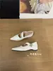 Sapatos de Bico Fino Estilo Canaleta com Aumento Interno de Altura para Mulheres, Novos Sapatos de Commuter Primavera 2026 com Velcro e Fivela de Metal Sapatos Mary Jane