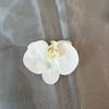 Filme de simulação de impressão 3D Phalaenopsis Flower Head Net Red Hair Card Wedding Acompanhando Presente Candy Box Handmade Decorative Fake Flower