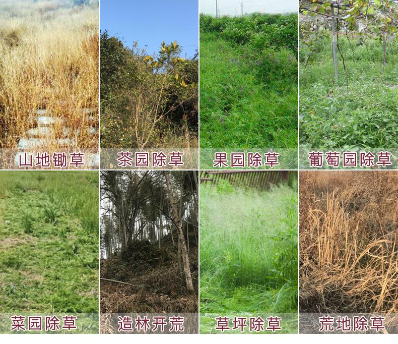 汽油遥控割草机3