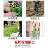Ancinho de Aço Inoxidável Cavando Amendoins Pequeno Ancinho Pegando Amêijoas Berbigões Caranguejos Virando a Terra Plantando Flores Afrouxando o Solo Ancinho Doméstico Fabricante