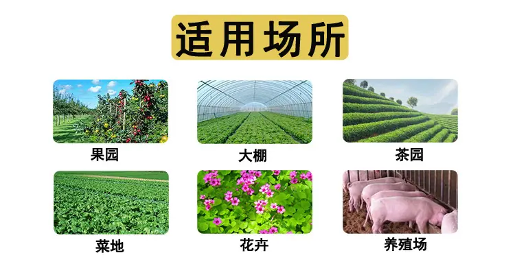 详情页新_04.jpg