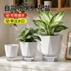 Vaso de flor branco autoirrigável com nível de água transparente visível, vaso diamante preguiçoso, vaso especial para pequenas plantas de mesa com controle de raiz