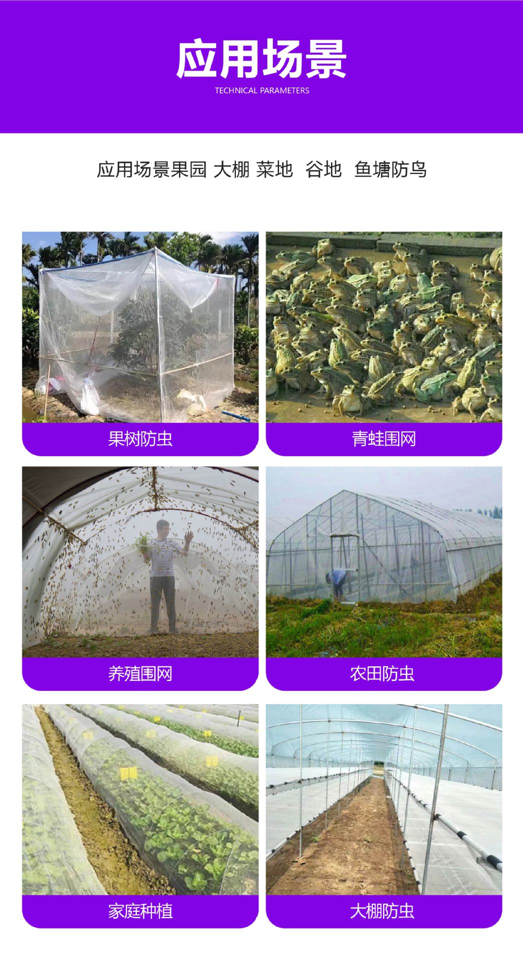 防鸟网-18.jpg