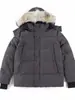 29 Tipos de Chaquetas de Plumas Canada Goose, Mismo Estilo que Wyndham, Parkas para Hombre y Mujer 3808May