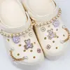 E-commerce Transfronteiriço Tamancos Acessórios DIY Ins Xiaohongshu Flor de Sapato de Alta Qualidade Fivela de Sapato Conjunto de Acessórios de Joia