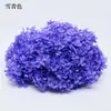 Flores de Hortensia Secas con Degradado Grande Hortensias Conservadas Cabezas de Flores Grandes Color Mixto Multicolor Hortensias Secas Decoración del Hogar Materiales Florales