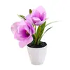 Duas Flores e Uma Fruta, Bonsai de Magnólia com Toque Real, Flores Artificiais, Enfeites de Decoração para Casa e Estúdio de Fotografia, Plantas Verdes Artificiais, Plantas Artificiais em Vasos
