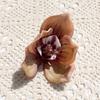 Cabeza de Flor de Orquídea Phalaenopsis Impresa en 3D de Espuma EVA, Accesorio de Regalo Xiaohongshu, Accesorio para el Cabello, Decoración de Ropa, Exquisita Decoración de Boda