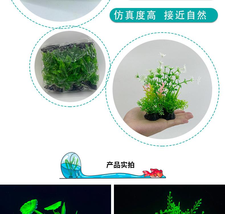 详情_03.jpg