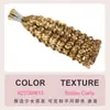 Extensiones de Cabello Europeas y Americanas con Cabello Humano Largo y Rizado, Adecuadas para Permanentes y Teñido, Extensiones Completas de Cabello Humano Real en Varios Colores