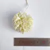 Suministros para Mascotas Transfronterizos Personalizados: Bolas de Fibra de Coco y Cuerda de Cáñamo para Roer y Desgastar los Dientes de Hámsteres, Conejos, Pájaros, Gatos y Perros con Certificación de Seguridad.