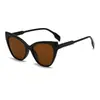 Óculos de Sol Retrô Novos em Formato de Gato 2026 Tendência Unisex Óculos de Sol para Influenciadores Óculos de Sol com Proteção Solar Fashion