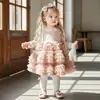 Vestido de Princesa Peludo Lindo Estilo Nuevo de Primavera para 26 Años, Vestido Tutú de Celebridad de Internet, Dulce Vestido de Princesa con Mangas Largas de Encaje, Moderno