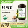 Certificación Orgánica Orgánico USDA Aceite de Neem Aceite de Neem para Cuidado de Jardinería Extracto de Neem Prensado en Frío