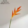 Fabricante de flores artificiais Strelitzia micro-light, atacado de flores artificiais e plantas verdes para decorações de casamento, artesanato transfronteiriço e decoração estilo INS