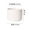 Vaso de Flor Suculenta Porcelana Branca Minimalista Nórdico Vaso de Cerâmica Sala de Estar Vaso para Planta Verde Interna Vaso de Suculenta Jingdezhen Estilo de Mesa