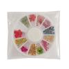Tamaño de uña flor seca disco de 12 rejillas 12 colores aliento de bebé flor seca grande flor de 5 pétalos narciso flor real tridimensional
