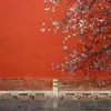 Estudio Fotográfico Tela de Fondo China Fotografía de Niños Disfraz Retrato Familiar de Año Nuevo Papel de Fondo Rojo