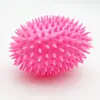 Brinquedo para Pet resistente à mordida som moedor filhote cachorro grande golden retriever Teddy borracha TPR pedra de dente remoção Bola espinhosa brinquedo