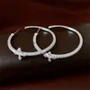 Brincos de Letra com Zircônia e Pérola Agulha de Prata, Elegantes e Versáteis, Brincos Estilo Chanel, Brincos da Moda de Luxo Leve de Alta Qualidade Atacado