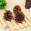 Pinheiro Americano Pinheiro Breu Pinheiro Local Pinheiro Abeto Pólen de Pinheiro Lariço Decoração de Natal Pinha Flor Seca Decoração DIY