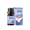 Comercio exterior explosiones pudín de caramelo comida aromaterapia aceite esencial humidificador máquina de aromaterapia piedra difusora de yeso aceite esencial de alta concentración