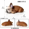 Modelos de Animales Realistas: Doberman, Golden Retriever, Perro de Peluche, Husky, Collie - Adornos para Coche y Juguetes para Niños