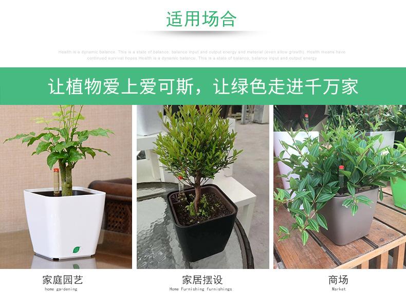 花盆(1004)_06.jpg