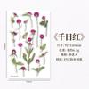 A95 Papelaria Coreana adesivos criativos de flor de PVC transparente flor planta este adesivos decorativos para copo de água de diário