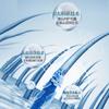 Dr. Xiangmei Control de Grasa Anticaspa Champú Limpiador de Cuero Cabelludo para Folículos Pilosos Cabello Esponjoso Reparación Folículo Piloso Cabeza Folículo Piloso Champú