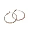 Pendientes Largos de Aguja Plateada para Mujer, Pendientes de Lujo de Gama Alta con Sentido del Diseño, Pendientes de Aro Nicho No Desgastables, Exagerados para Rostros Cuadrados y Redondos, Venta al por Mayor