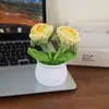 Flor de ganchillo tejida a mano rosa burbuja planta en maceta decoración de escritorio regalo creativo colgante de flor de hilo