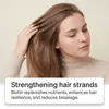 Condicionador de Cabelo Hidratante e Nutritivo, Cuidado Suave para Cabelos Macios, Lisos e Brilhantes, Hidratação Diária e Refrescante para os Cabelos