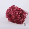 Ramo de Flores Secas de Hortensia Anna Eterna Ramo de Flores Flotantes Individuales de Colores Rosas de Yunnan al por Mayor