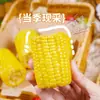 Mazorcas de maíz dulce listas para comer de Guangxi, snacks frescos para estudiantes, envasadas al vacío, sustituto de desayuno de harina de maíz sin cocción