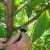 Faca de Enxertia de Lâmina Dupla para Enxertia de Árvores Frutíferas, Ferramenta de Enxertia Afiada e Durável, Dispositivo de Enxertia Espessado