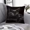 Fronha de gato mais vendida da TEMU para brincar com celular, capa de almofada decorativa para sofá de casa com estampa digital ultra macia