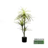 Cacto Cacto Em Vaso Plantas Verdes Falsas Tropicais Paisagismo de Deserto Plantas Verdes Falsas Enfeites Decorativos de Cacto