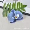 Flor de Orquídea Phalaenopsis con Simulación de Película Impresa en 3D Cabeza de Flor Flor Falsa Recuerdos para Bodas Fiesta Decoración de Caja de Dulces Diadema DIY Pinza para el Cabello