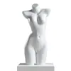 Soporte de Exhibición para Maniquí de Ropa Interior Maniquí de Medio Cuerpo Masculino Femenino Soporte para Maniquí de Sujetador Push Up Calzones Maniquí Accesorios para Fotografía Modelo de Pecho
