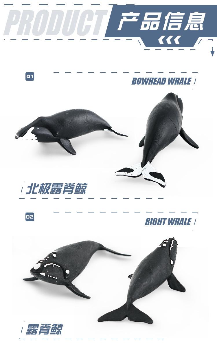 详情图片_096.jpg