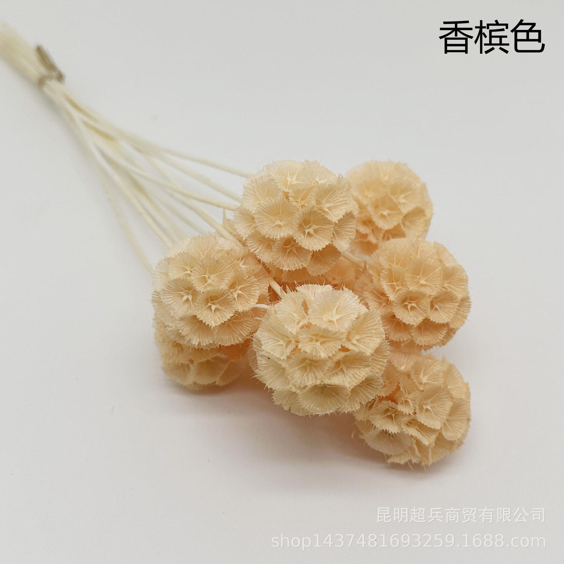 22香槟色.jpg