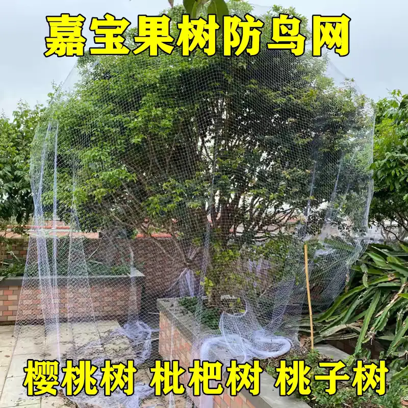 的