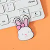 Broche de rana linda de acrílico, insignia de perro de dibujos animados, pin de moda, pequeño regalo decorativo, broches al por mayor