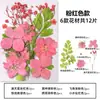 Marcador de Flores Secas Espécimen de Planta Película Selladora Botella Flores Prensadas Recolectadas en Otoño Material Hecho a Mano DIY Flor Transparente