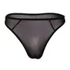 Ropa Interior Sexy para Hombres Europea y Americana, Ropa Interior Sexy, Malla Sexy que Revela el Trasero, Calzoncillos Transparentes para Hombre, Tanga, Comercio Exterior