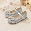 Zapatos de fiesta de rendimiento para niñas, multicolor, suela suave, antideslizantes, con correa de lazo, estilo princesa dulce, zapatos de una sola pieza